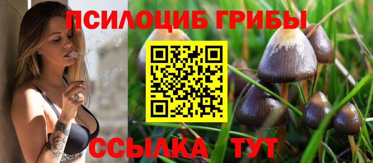 Галлюциногенные грибы Magic Shrooms  Псилоцибиновые грибы Psilocybe  Вход с VPN  Энгельс 